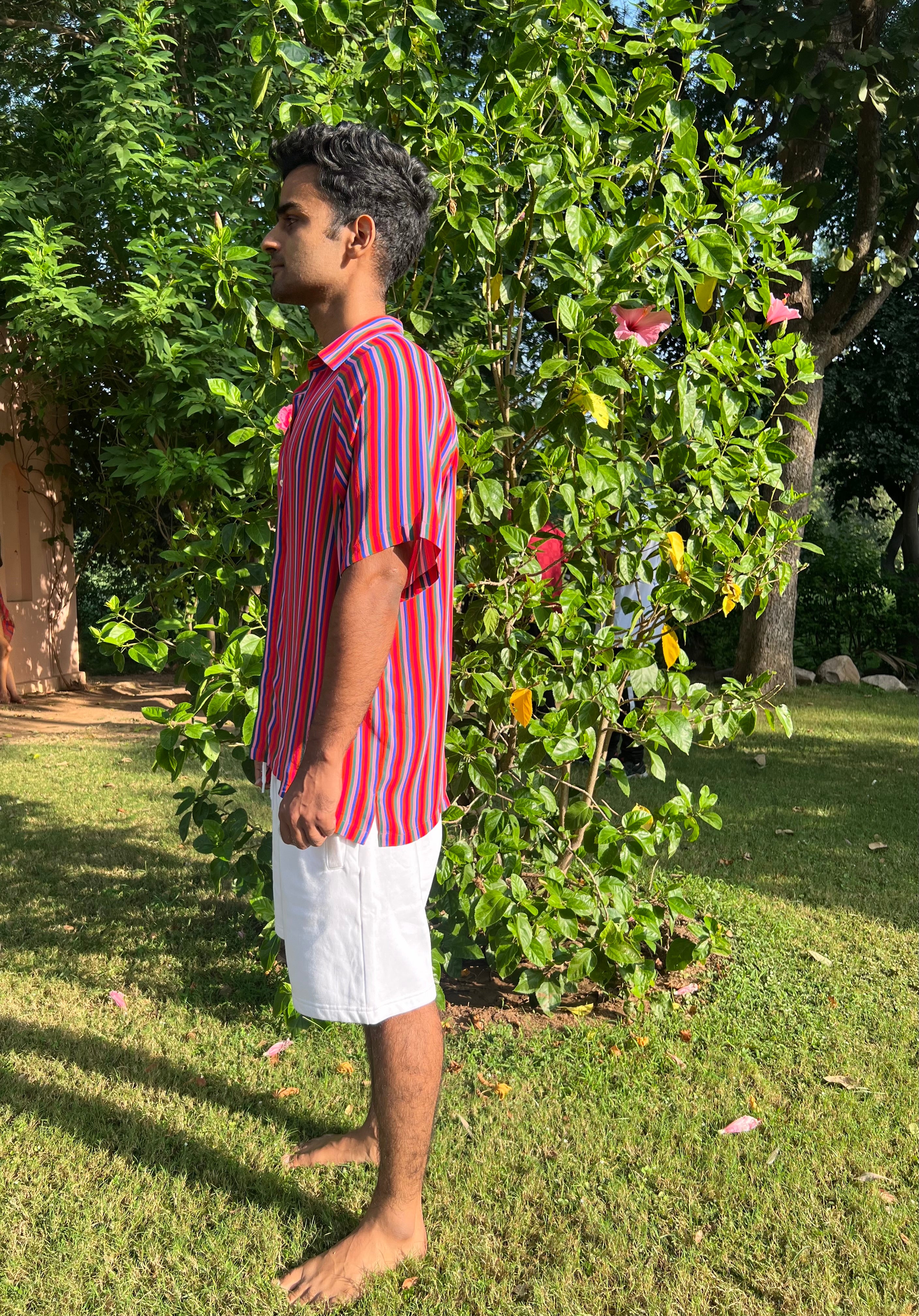 Shirt - Candy Stripes