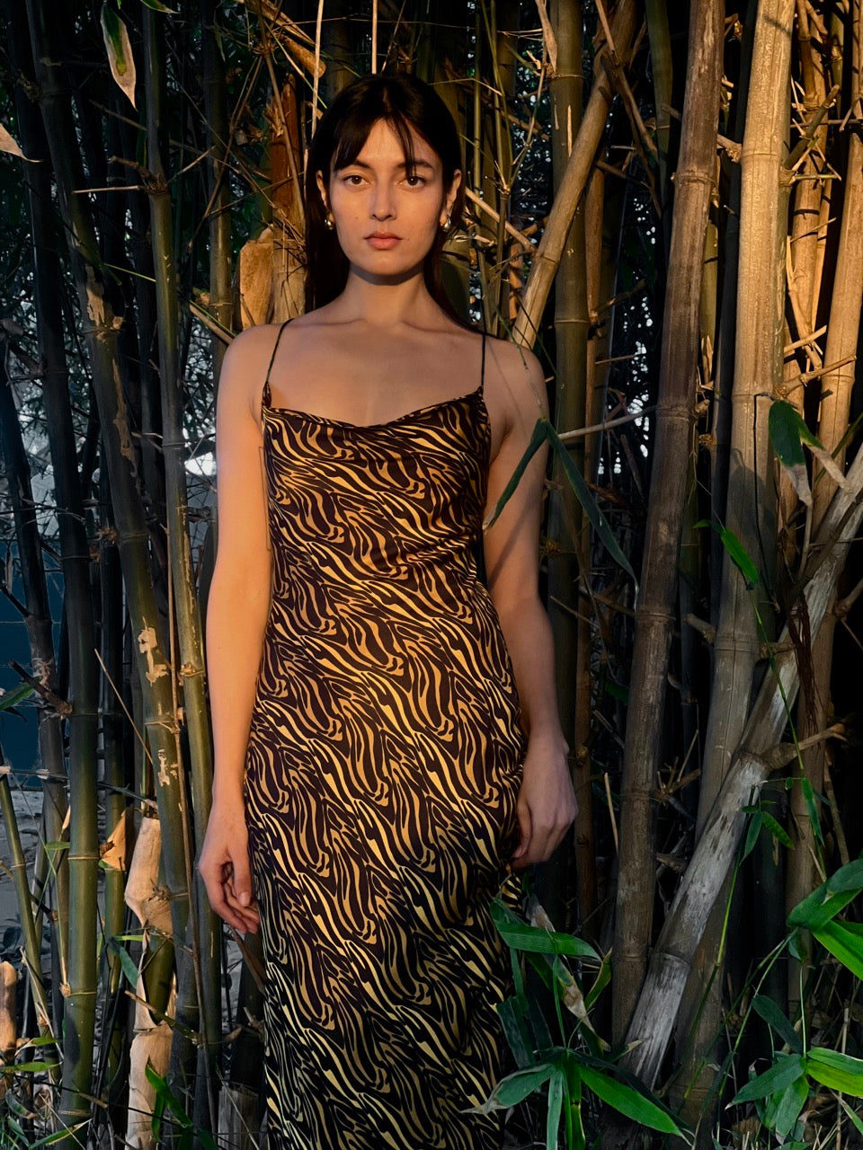 Satin Slip Dress with a Tie-Up Back - Tiger Wave-izsi-IZSI